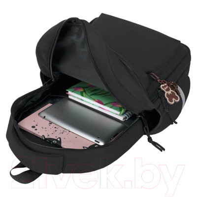 Школьный рюкзак Merlin M510