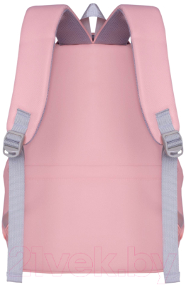 Школьный рюкзак Merlin M853