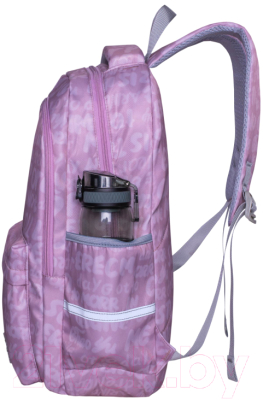 Школьный рюкзак Merlin M509