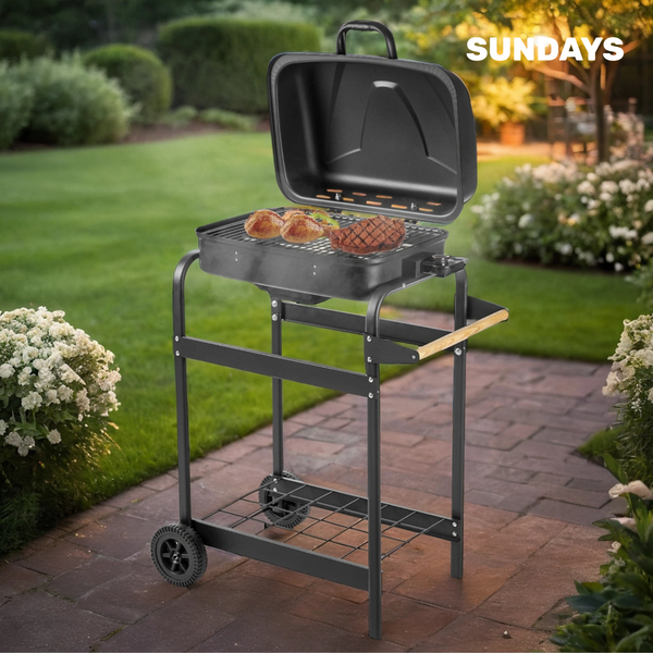 Электрогриль Sundays DD02-007