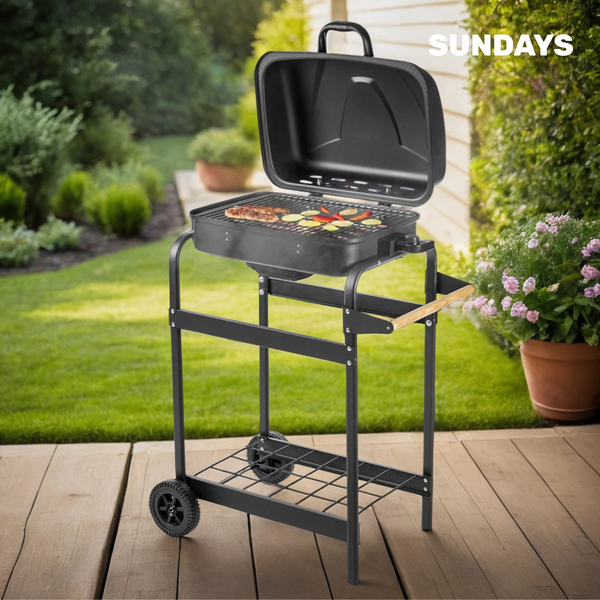 Электрогриль Sundays DD02-007