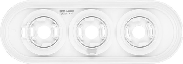 Рамка для выключателей и розеток TDM Виви SQ1820-1091