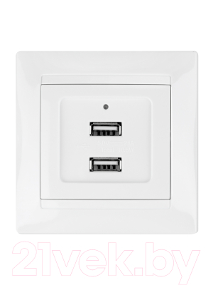 Розетка TDM Лама SQ1815-0041