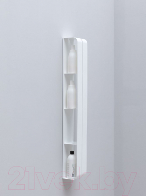 Полка для ванной Aquanet Магнум H / 326460