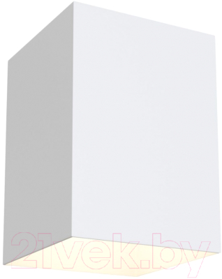 Потолочный светильник Maytoni Alfa C015CL-01W - фото