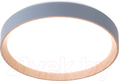 Потолочный светильник Ambrella FZ1320