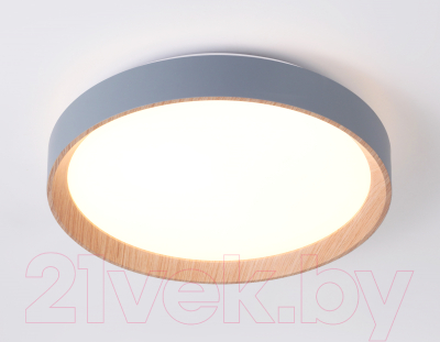 Потолочный светильник Ambrella FZ1320