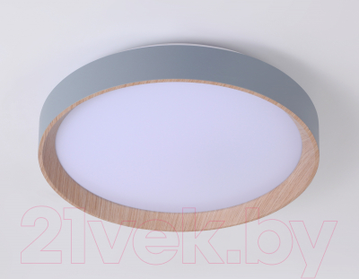 Потолочный светильник Ambrella FZ1320