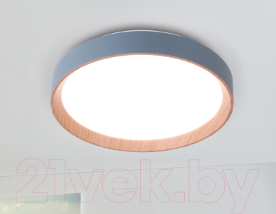 Потолочный светильник Ambrella FZ1320