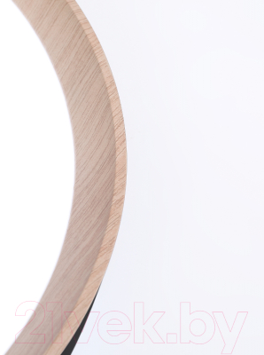 Потолочный светильник Ambrella FZ1324