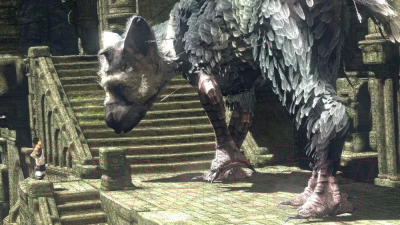 Игра для игровой консоли PlayStation 4 The Last Guardian