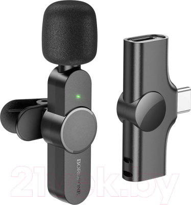 Микрофон Borofone BFK12 Type-C - фото