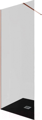 Душевая стенка Allen Brau Infinity 1 3.21006.60.T / 323798 - фото