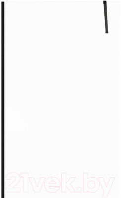 Стеклянная шторка для ванны Allen Brau Infinity 3 3.21063.BBA / 323855 - фото