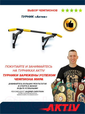 Турник Absolute Champion Aktiv