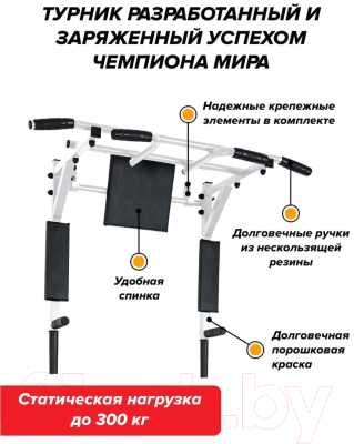 Турник-брусья Absolute Champion Центрл Спорт 3в1