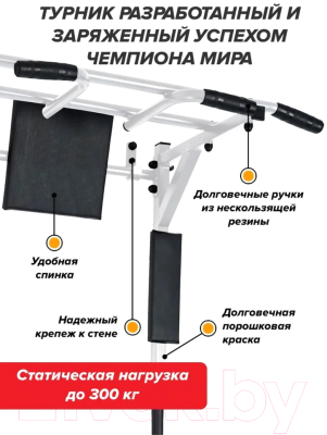 Турник-брусья Absolute Champion Центрл Спорт 3в1