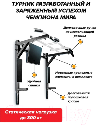 Турник-брусья Absolute Champion Центрл Спорт 3в1