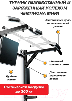 Турник-брусья Absolute Champion Центрл Спорт 3в1