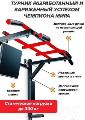 Турник-брусья Absolute Champion Центр Спорт 3в1