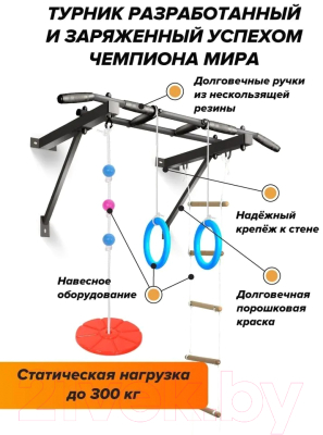 Турник Absolute Champion Оптимист