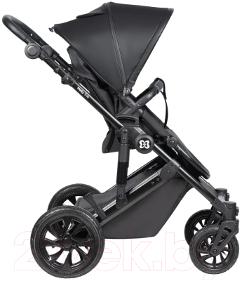 Детская универсальная коляска Farfello Molly Trio 3 в 1