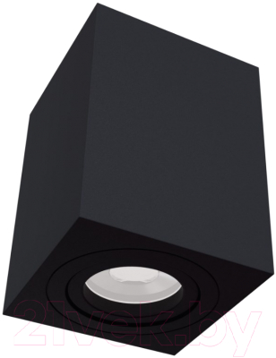 Потолочный светильник Maytoni Alfa C017CL-01B - фото