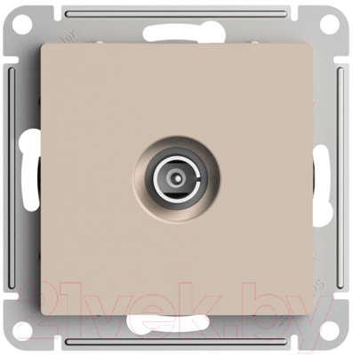 Розетка Schneider Electric AtlasDesign ATN001291