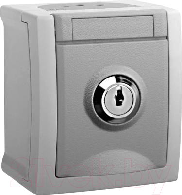 Розетка Panasonic WPTC42192GR-RU - фото