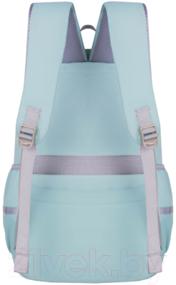 Школьный рюкзак Merlin M910