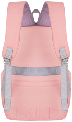 Школьный рюкзак Merlin M909