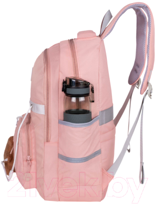 Школьный рюкзак Merlin M909