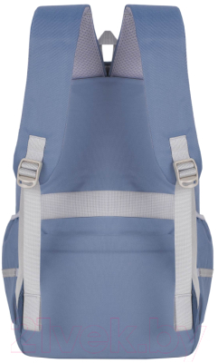 Школьный рюкзак Merlin M909