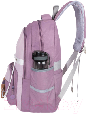 Школьный рюкзак Merlin M909