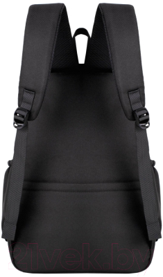 Школьный рюкзак Merlin M855