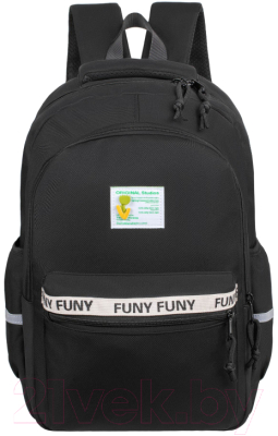 Школьный рюкзак Merlin M557 - фото