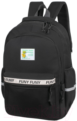 Школьный рюкзак Merlin M557