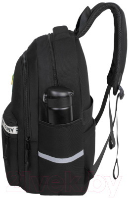 Школьный рюкзак Merlin M557