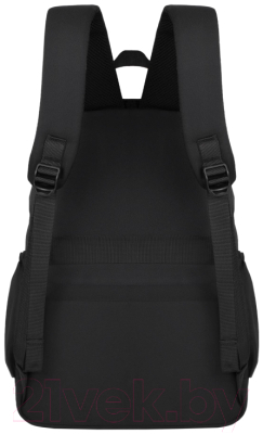 Школьный рюкзак Merlin M209