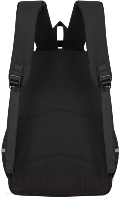 Школьный рюкзак Merlin M306