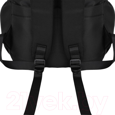 Школьный рюкзак Merlin M963