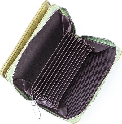 Портмоне Passo Avanti 920-H1219-SLD