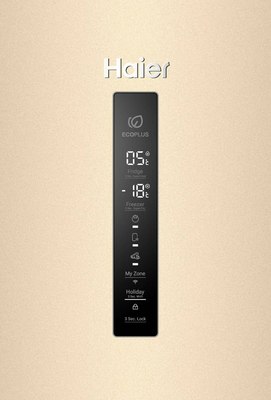 Холодильник с морозильником Haier C4F640CGGU1