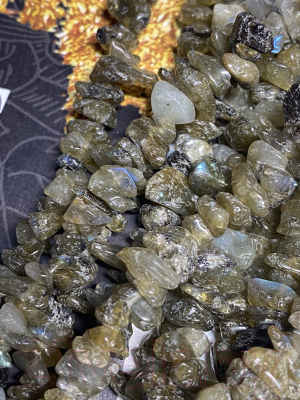 Ожерелье Wolves Лабрадор 1011