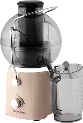 Соковыжималка электрическая Galaxy GL 0811 (дымчатая роза) - фото