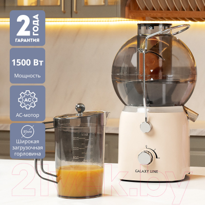 Соковыжималка электрическая Galaxy GL 0811 (дымчатая роза)