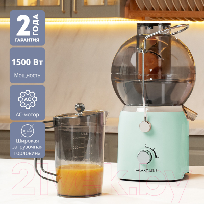 Соковыжималка электрическая Galaxy GL 0811 (свежая мята)