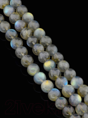 Браслет Wolves Лабрадор 40463