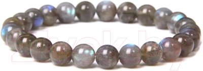 Браслет Wolves Лабрадор 40467 - фото