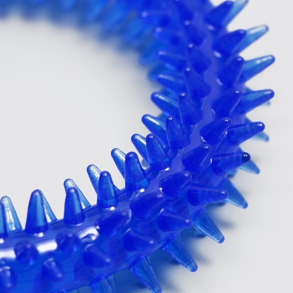 Игрушка для собак Пижон Кольцо с шипами